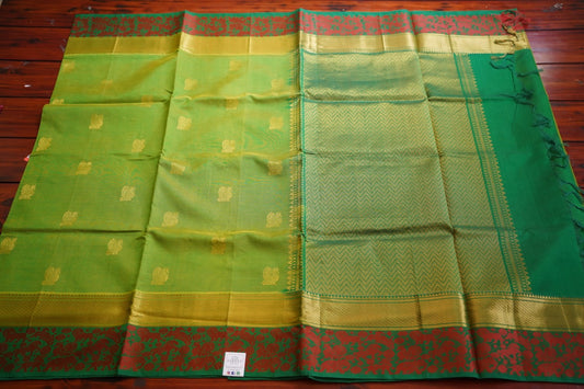 Kanchi  Handloom Silk Cotton  PC12342