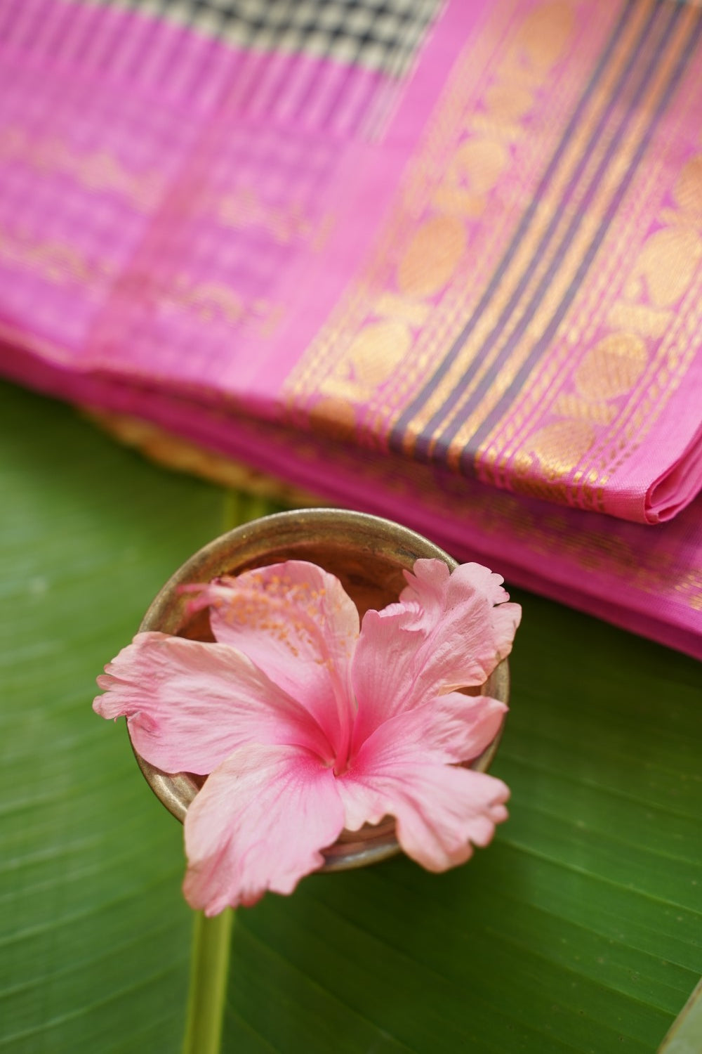 Kanchi Handloom Silk Cotton Saree PC17824