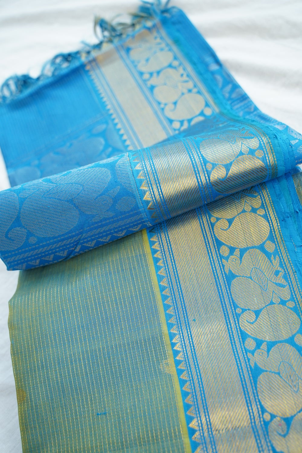 Kanchi Handloom Silk Cotton Saree PC17040