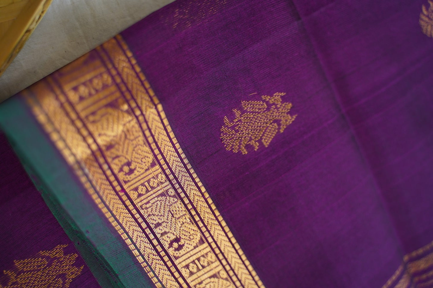 Kanchi Handloom Silk Cotton Saree PC17069
