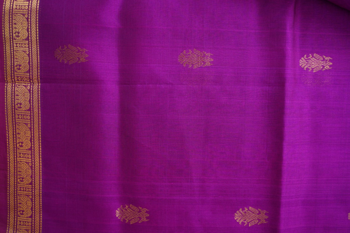 Kanchi Handloom Silk Cotton Saree PC17063