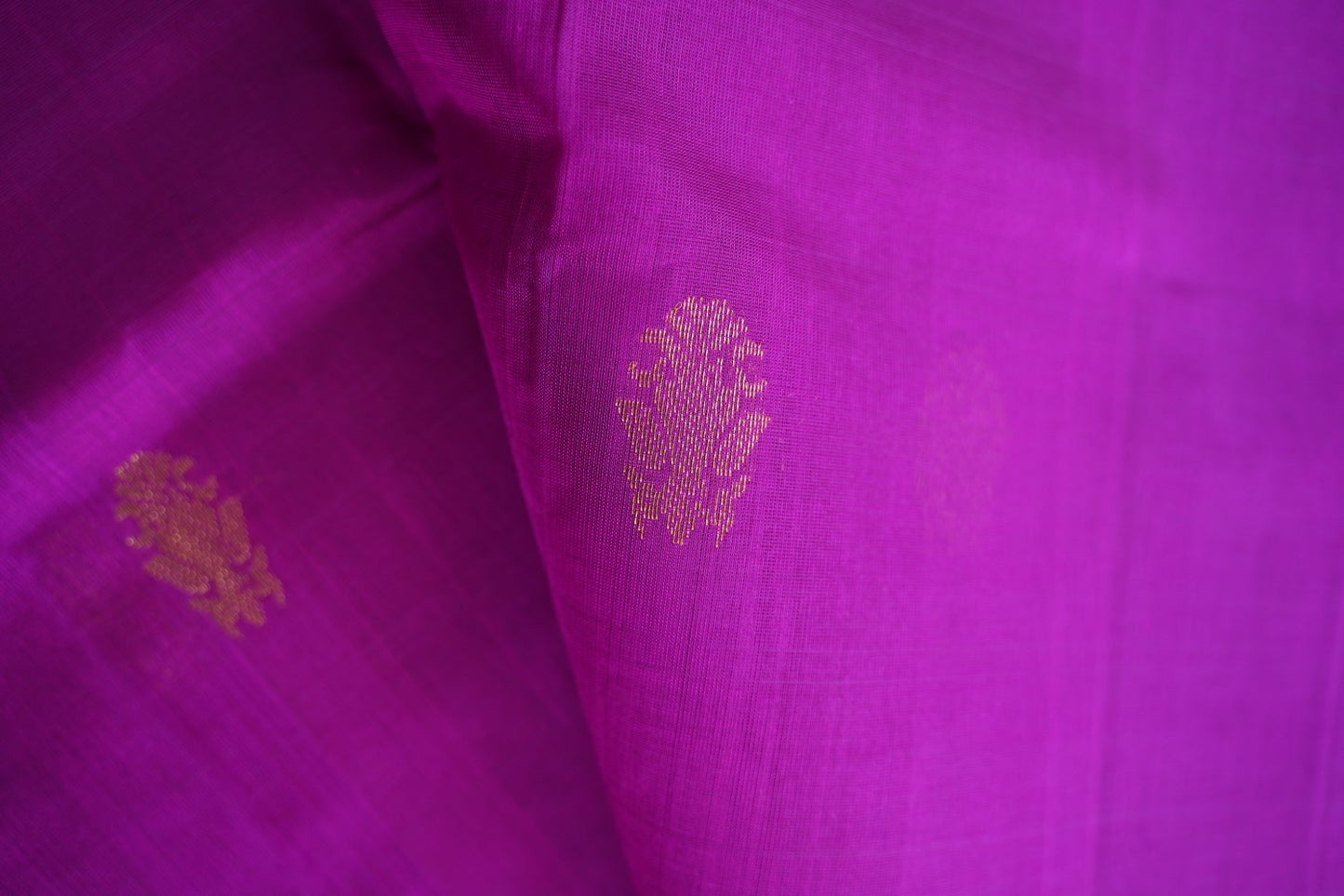 Kanchi Handloom Silk Cotton Saree PC17063