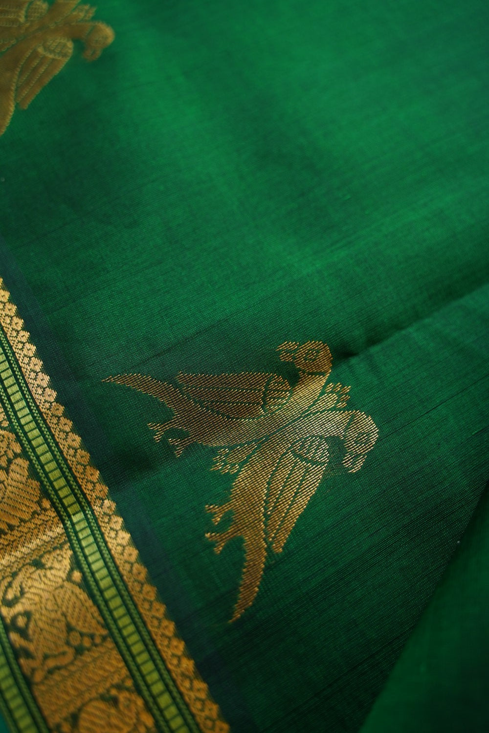 Kanchi Handloom Silk Cotton Saree PC17074