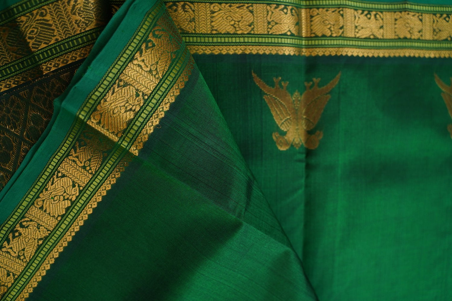 Kanchi Handloom Silk Cotton Saree PC17074