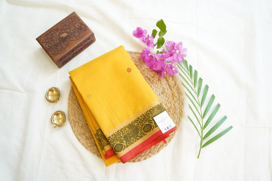 Kanchi handloom Cotton Saree PC14406