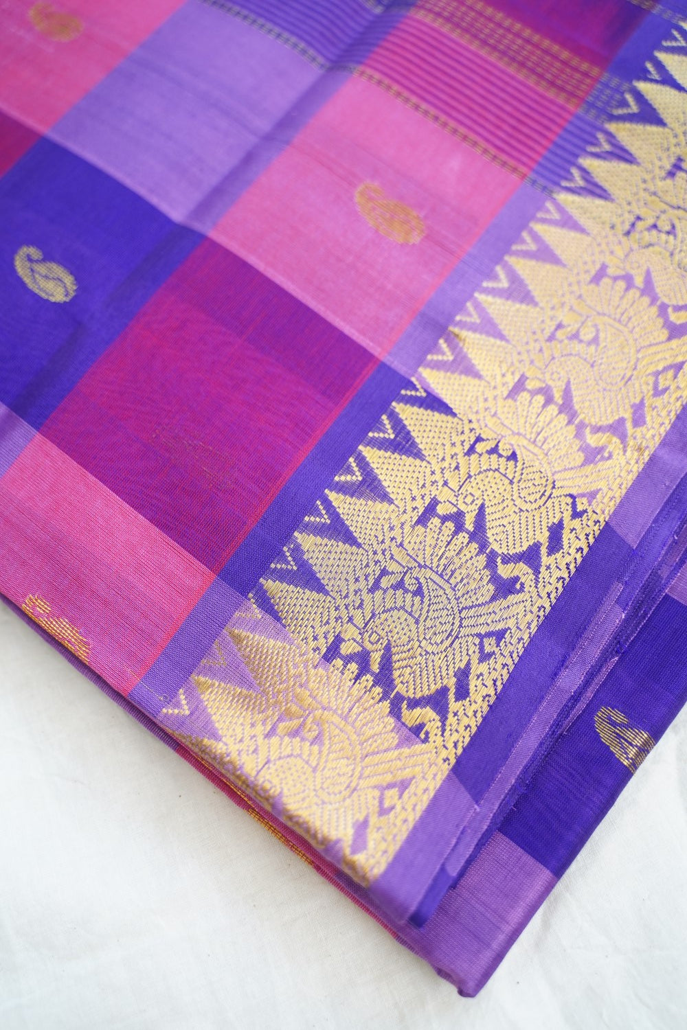 Kanchi Handloom Silk Cotton Saree PC17130