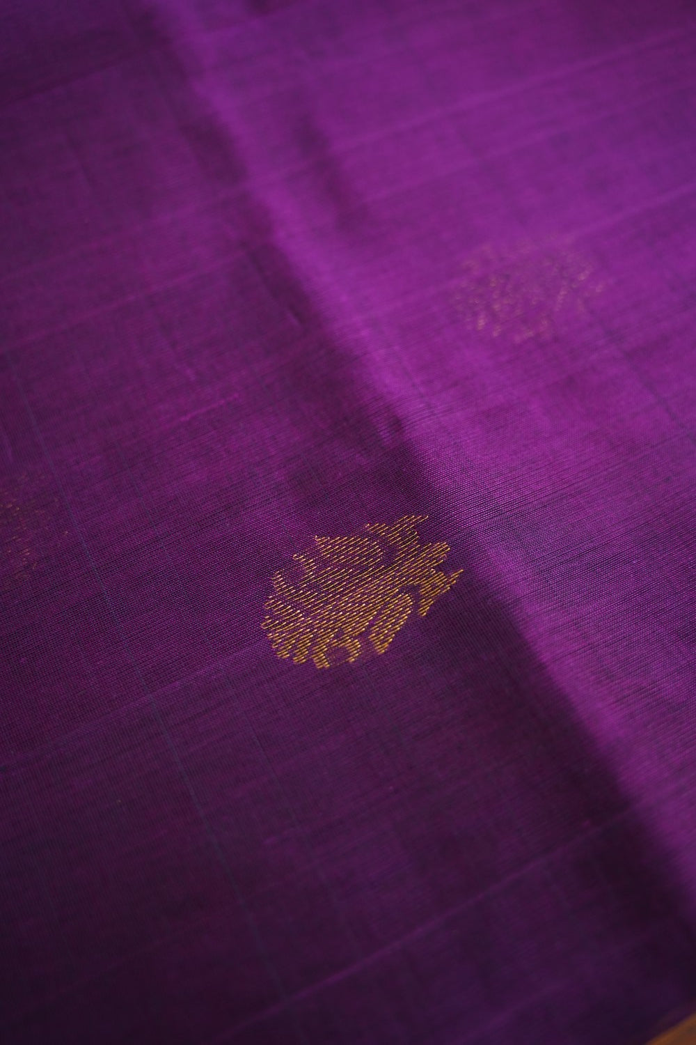 Kanchi Handloom Silk Cotton Saree PC17069