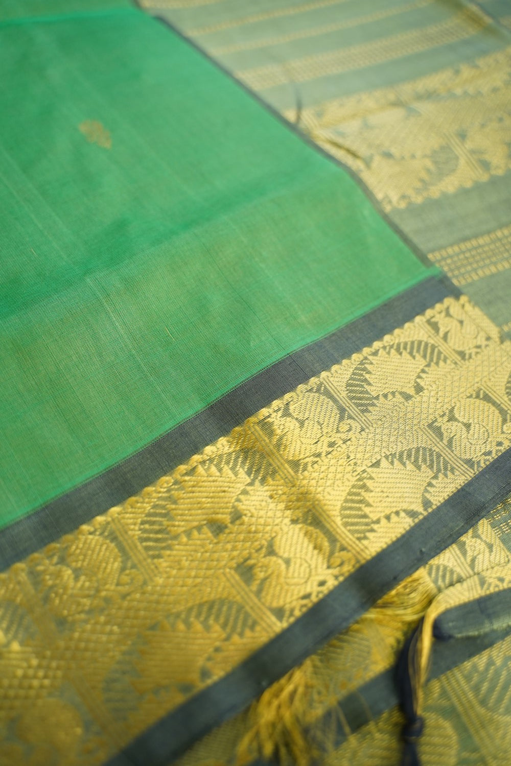 Kanchi Handloom Silk Cotton Saree PC17094