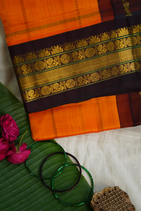 Kanchi Handloom Silk Cotton Saree PC13644