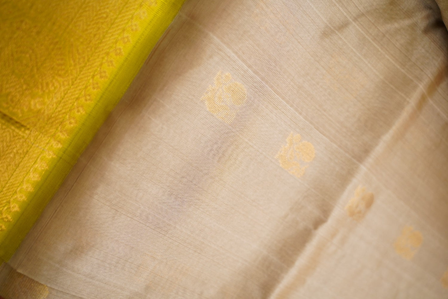 Kanchi Handloom Silk Cotton Saree PC17148