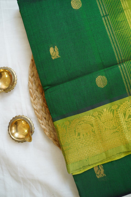 Kanchi Handloom Silk Cotton Saree PC14438