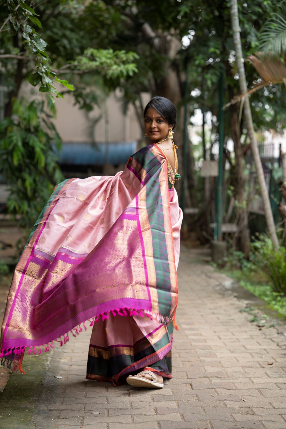 Silk Cotton Sarees Collection silk-cotton-sarees-collection