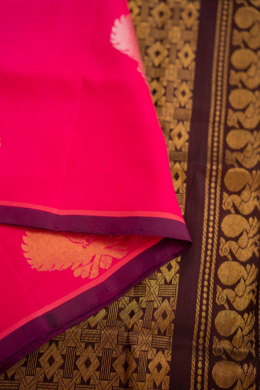 Korvai Kanchi Handloom Silk Cotton Saree PC12984