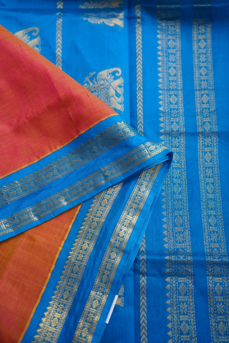 Kanchi Handloom Silk Cotton Saree PC8000