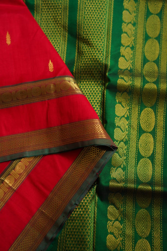 Kanchi Handloom Silk Cotton Saree PC8071