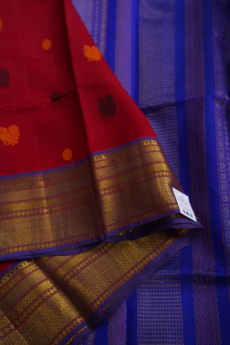 Kanchi Handloom Silk Cotton Saree PC8784